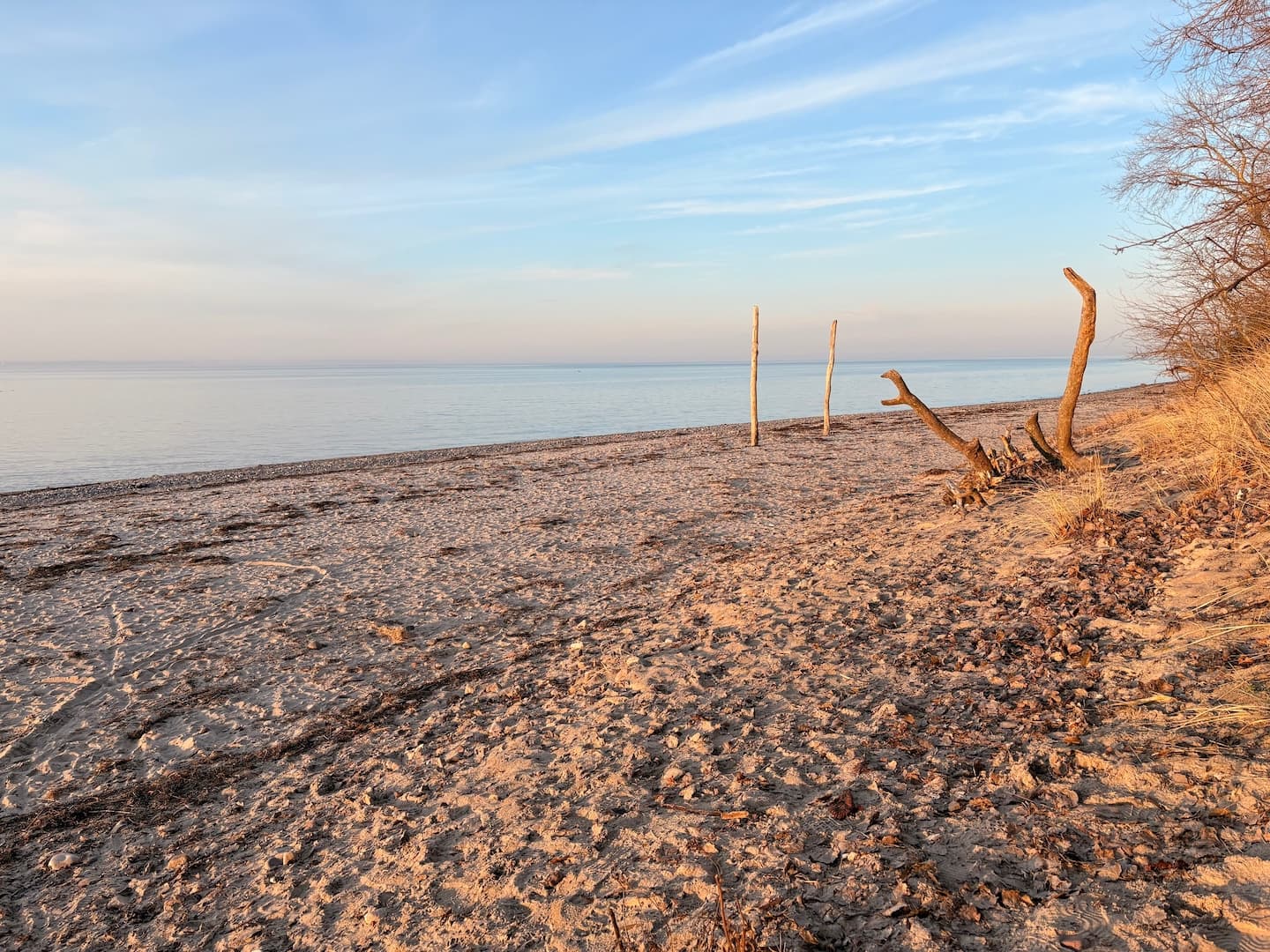 Ferienhaus Kranichblick Ostsee